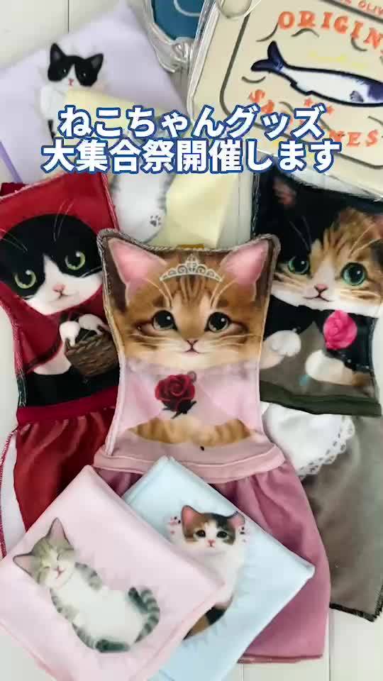 ぞうとねこ select store | LINE Official Account 