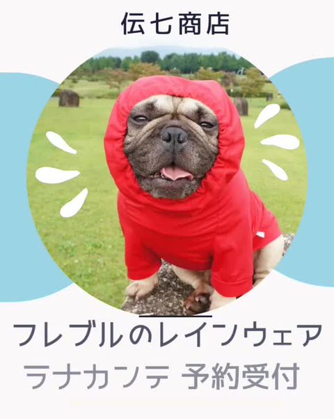 犬服の店 伝七商店 | LINE Official Account
