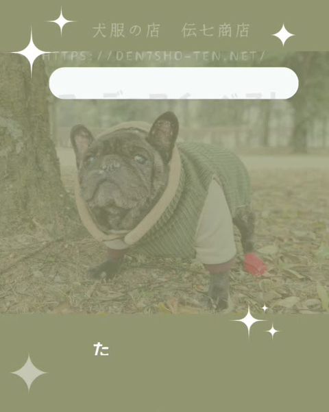 犬服の店 伝七商店 | LINE Official Account