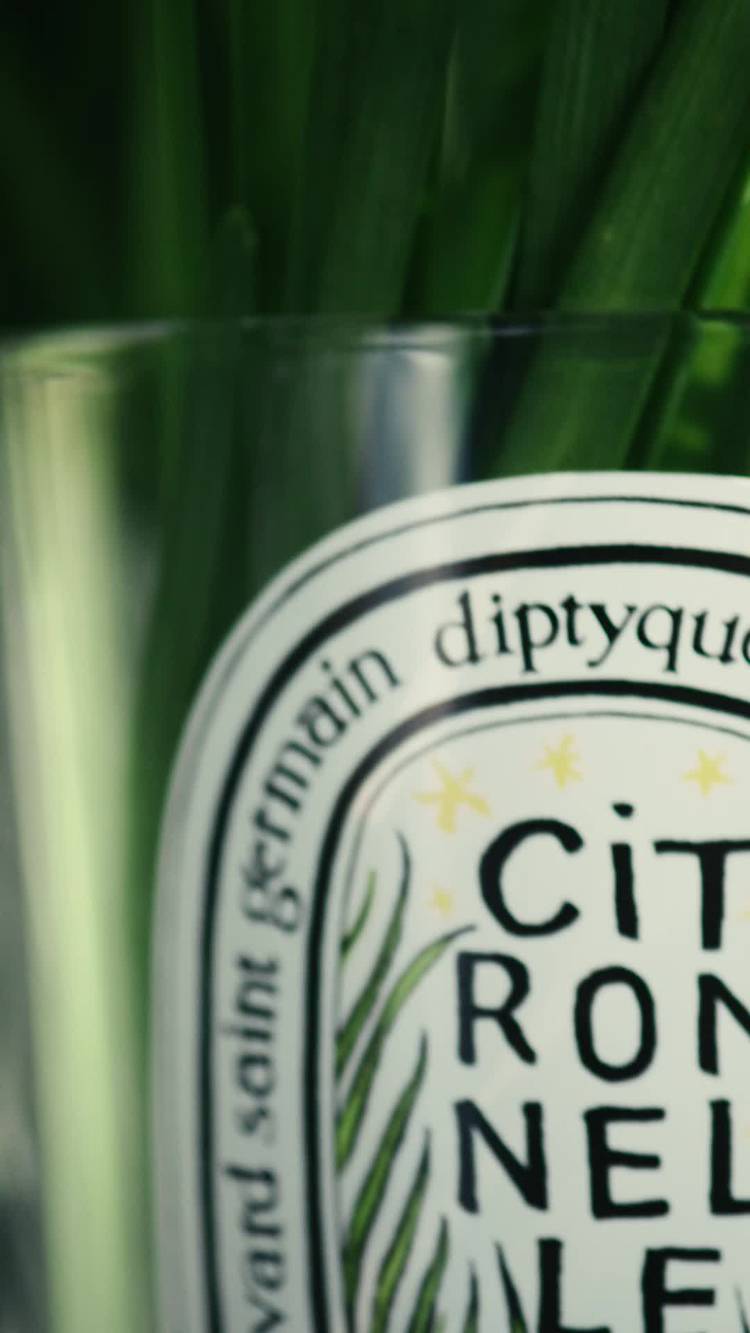 Mixed media feed | diptyque | LINE Official Account