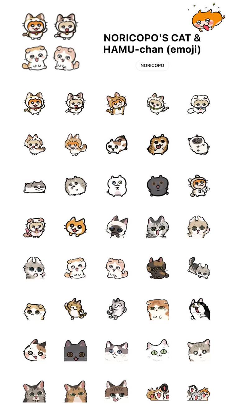 Mixed media feed | クソハムちゃん | LINE Official Account