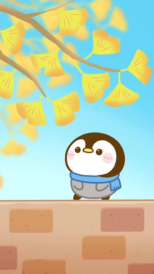 Mixed media feed | ぴよたぬき♡ | LINE Official Account