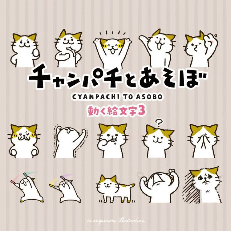 Mixed media feed | チャンパチ@スタンプ | LINE Official Account