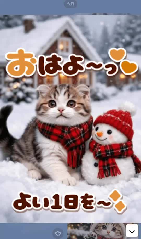 Mixed media feed | ぴよたぬき♡ | LINE Official Account