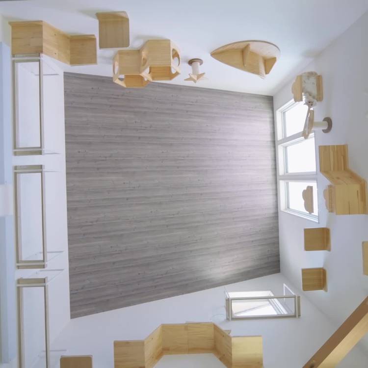 Mixed media feed | 一条工務店 | LINE Official Account