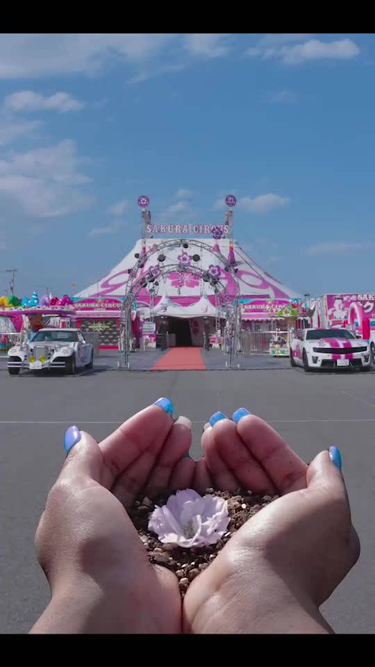 Mixed media feed | SAKURA CIRCUS | LINE Official Account Mixed media feed | SAKURA CIRCUS | LINE Official Account