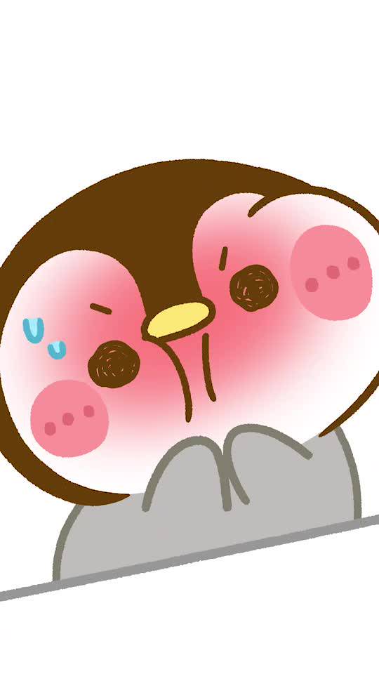 Mixed media feed | ぴよたぬき♡ | LINE Official Account