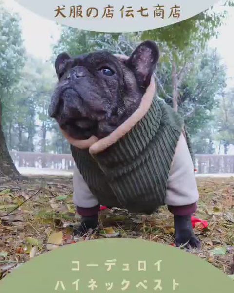 犬服の店 伝七商店 | LINE Official Account