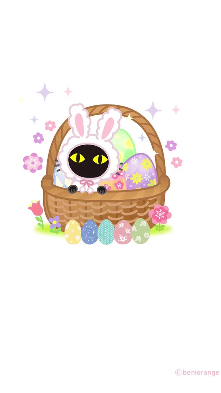 Mixed media feed | 紅おれんじ | LINE Official Account