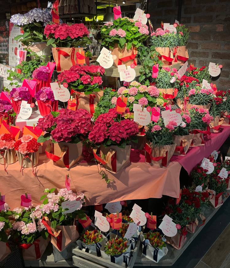 Mixed media feed | 青山フラワーマーケット 西新店 | LINE Official