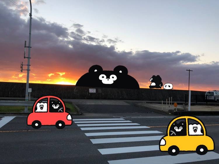 Mixed media feed | くまのまーくん | LINE Official Account
