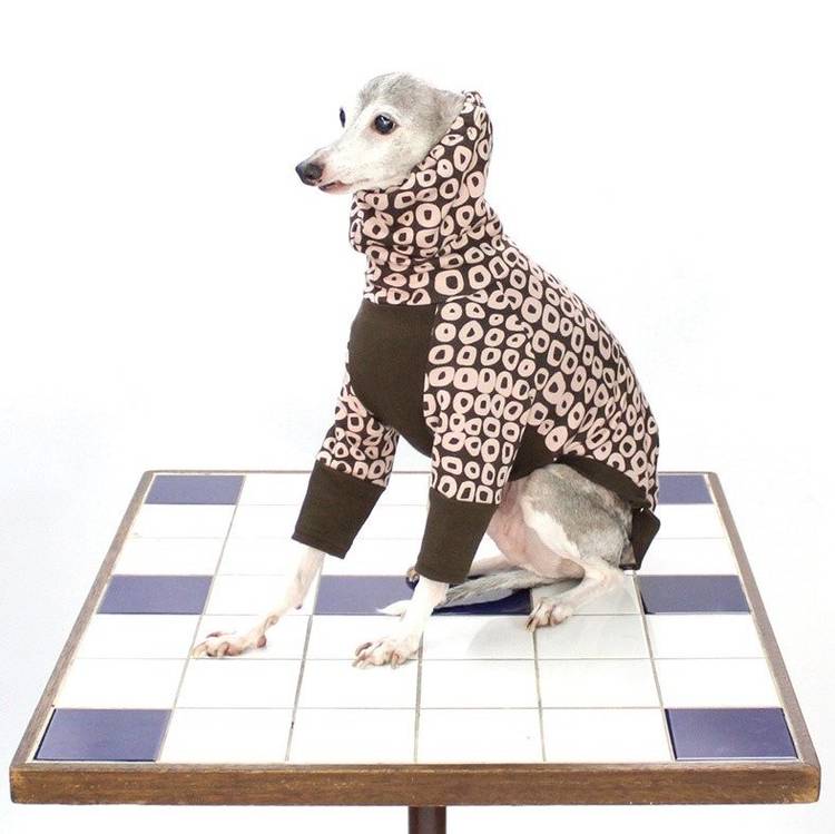 cinofilo | LINE Official Account