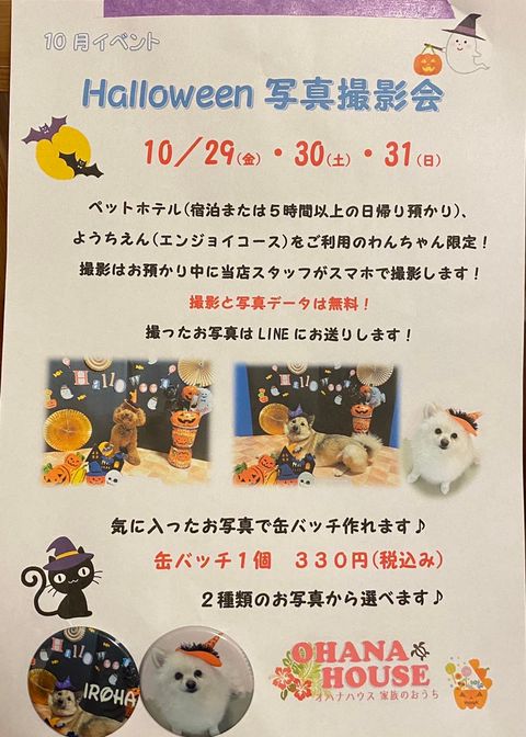 ohanaさま専用ページ 楽天市場】[100円OFFクーポンあり/2025年度]ソニック 筆箱 うか