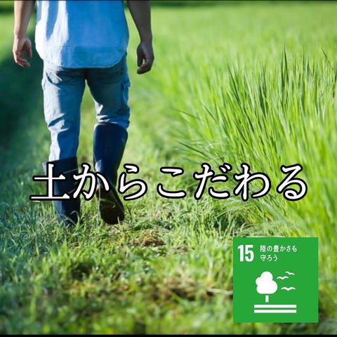 庄じろうページ 安全靴 （先芯あり） 紐 ローカット ジーベックXEBEC 85414