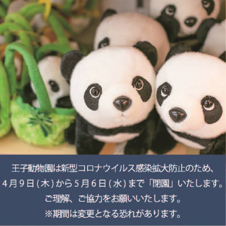 Mixed media feed | 王子動物園 パンダプラザ | LINE Official