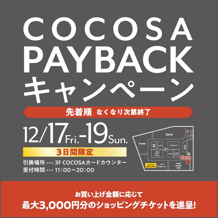 Mixed media feed | COCOSA（ココサ） | LINE Official Account