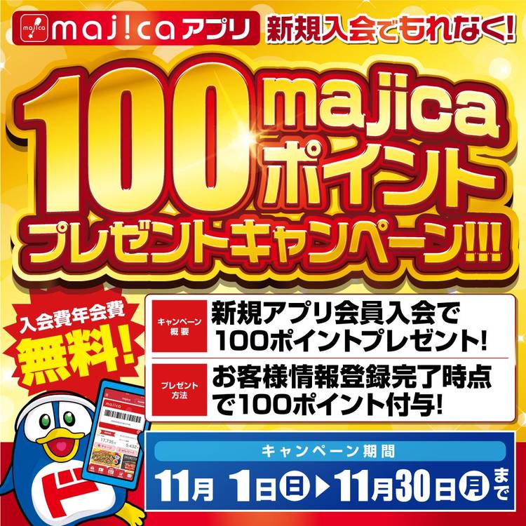マスネ没100年記念ボックス　23CD／タイス、マノン、ドン・キホーテ他 Don Quijote] 10,000 yen sisters go on a shopping spree! I