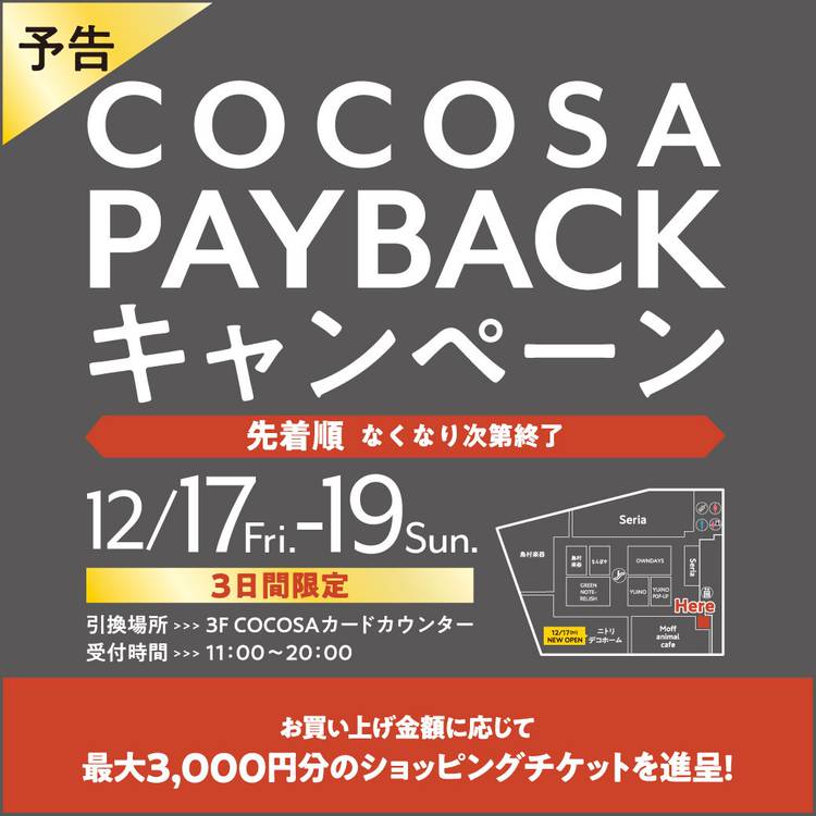 Mixed media feed | COCOSA（ココサ） | LINE Official Account