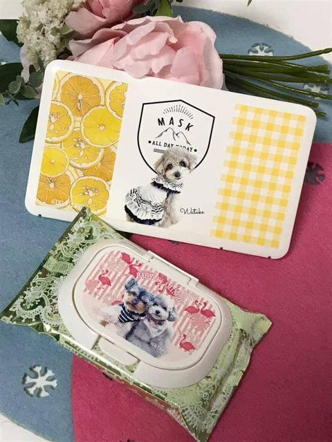 ペットフォトスタジオ わんこ＊ぷらネット | LINE Official Account