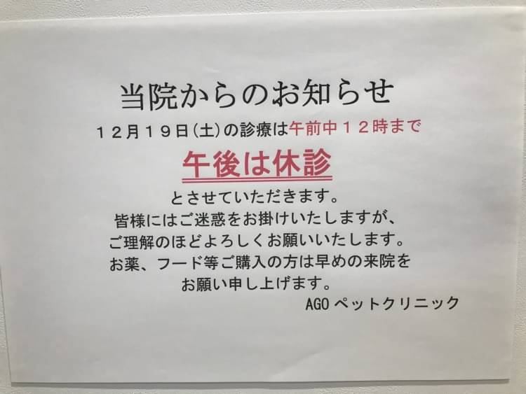 ショップ agoペットクリニック 熊本県玉名市