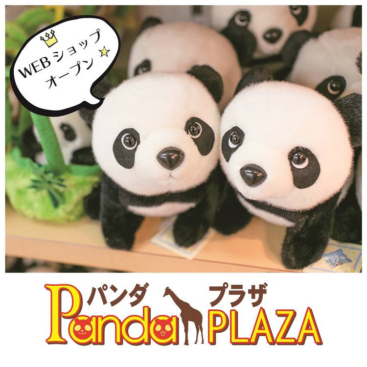 王子動物園 タンタン ブランケット 神戸新聞 on X: 
