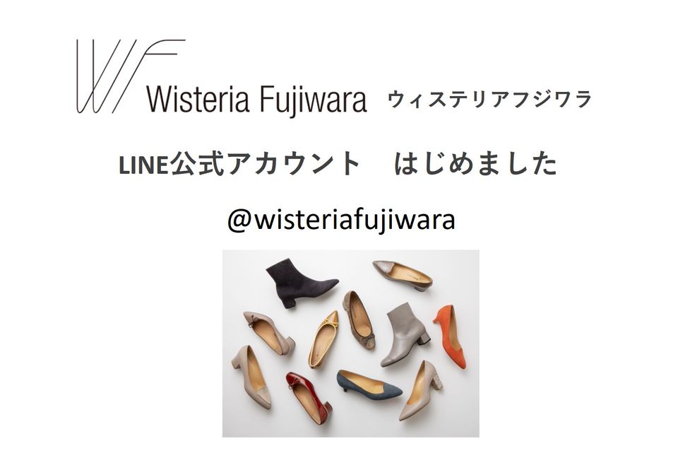 Wisteria Fujiwara | LINE Official Account