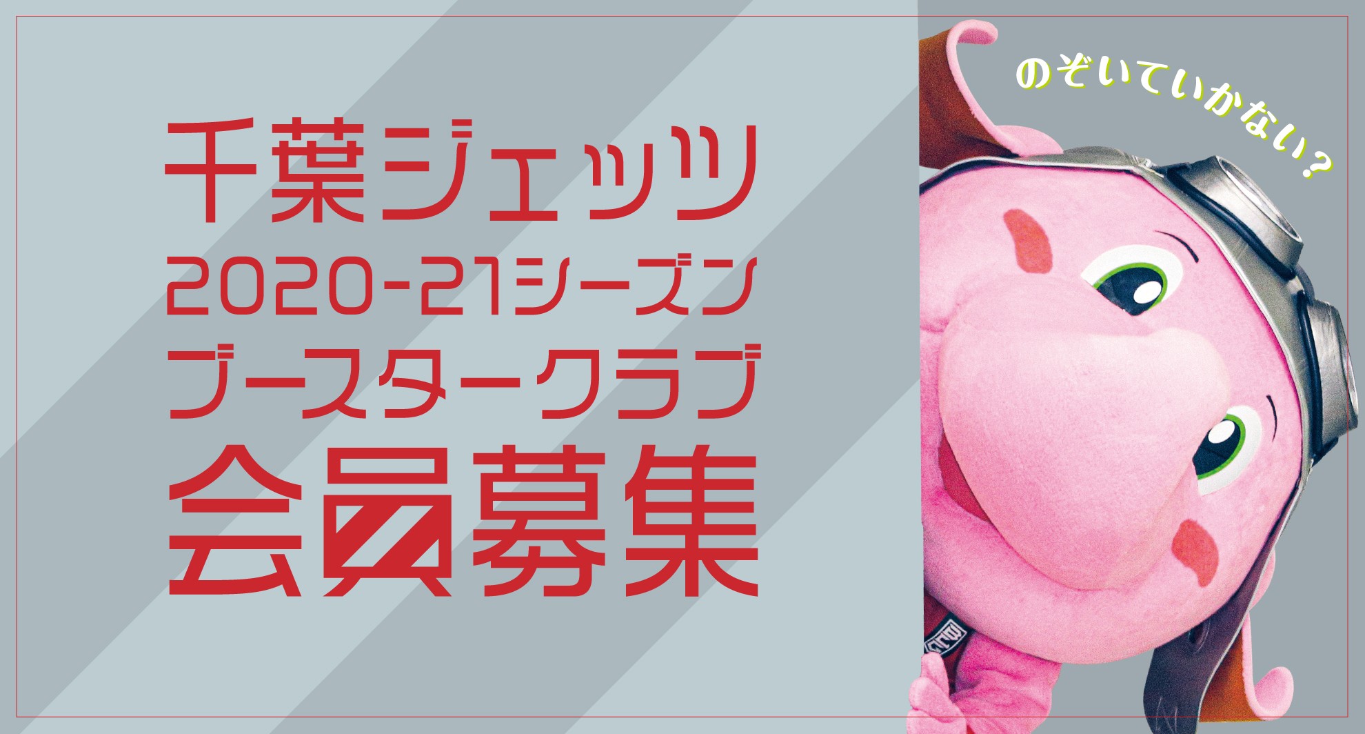 千葉ジェッツふなばし | LINE Official Account