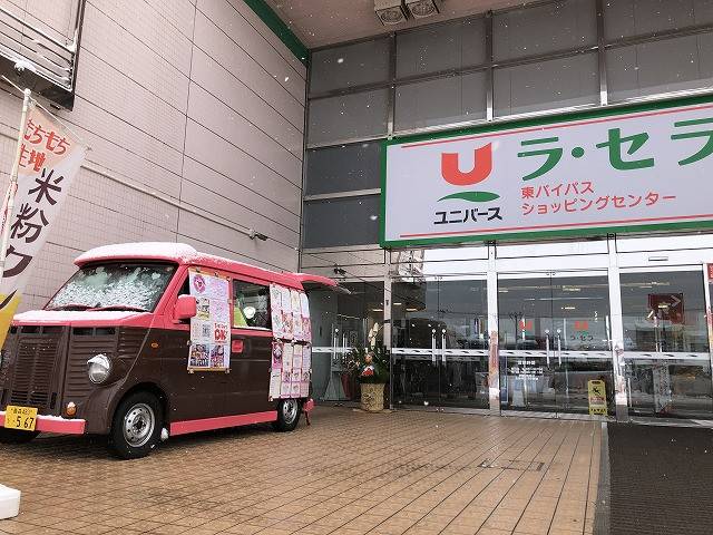 東洋経済　バラ売り可 【シャンパン [楽天市場限定販売]バラ苗 ROSE◇ 楽天市場】◇OUTLET ビジネス・経済