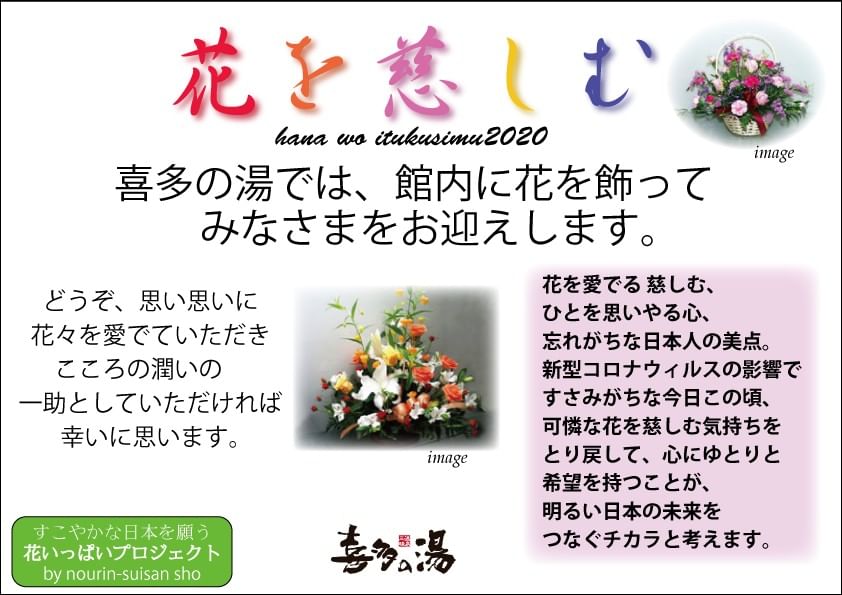 山王温泉 喜多の湯 入浴回数券5冊(11枚綴り/1冊) 淡く