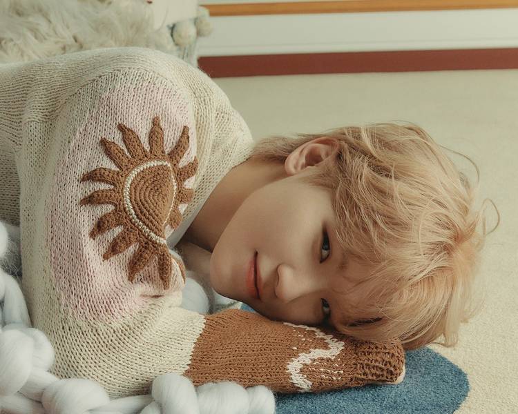 SEVENTEEN - lillyさま専用ページ SEVENTEEN セブチ ペンライト ver3 10周年｜Yahoo!フリマ（旧