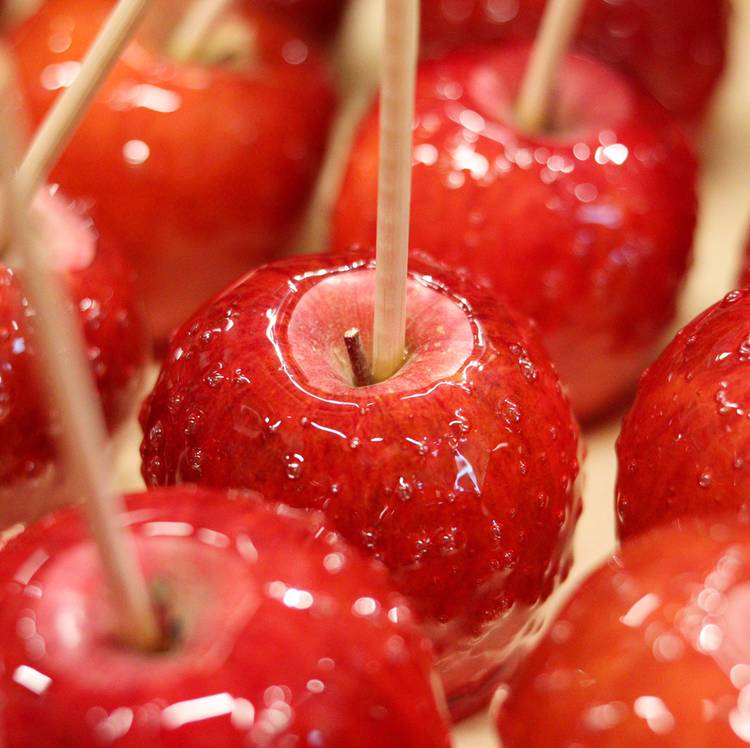 Mixed media feed | Candy apple | LINE Official Account
