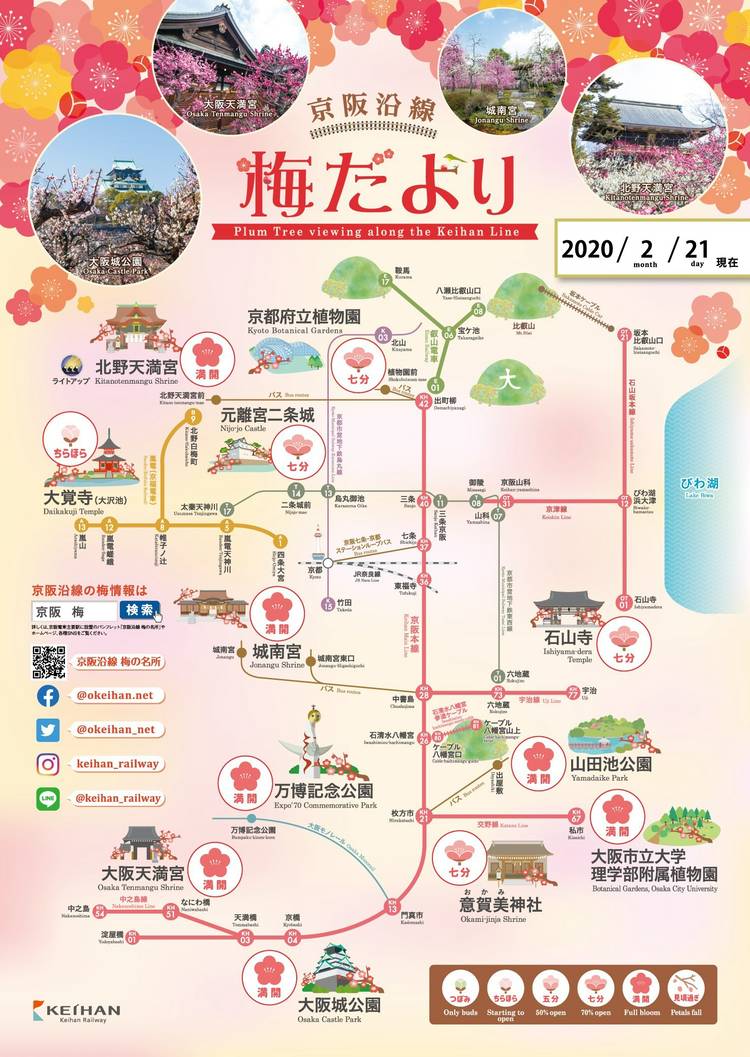 Mixed media feed | 京阪電車おでかけ情報 | LINE Official Account