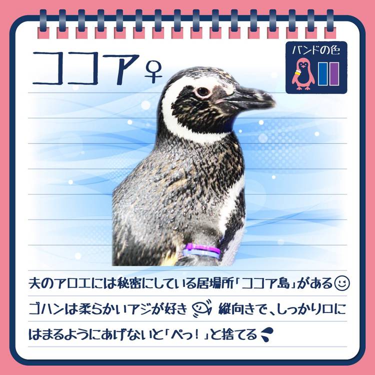 すみぺん（値下げ、まとめ依頼プロフ必読）様 すみぺん（値下げ、まとめ依頼プロフ必読）様 すみぺん（値下げ