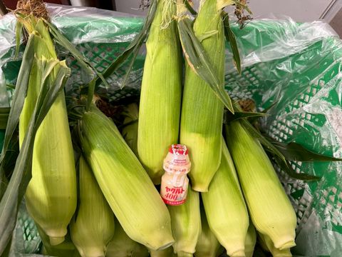so-na様用埼玉県産彩のみのり9kg精米★生産農家直送 0283-1-s.jpg