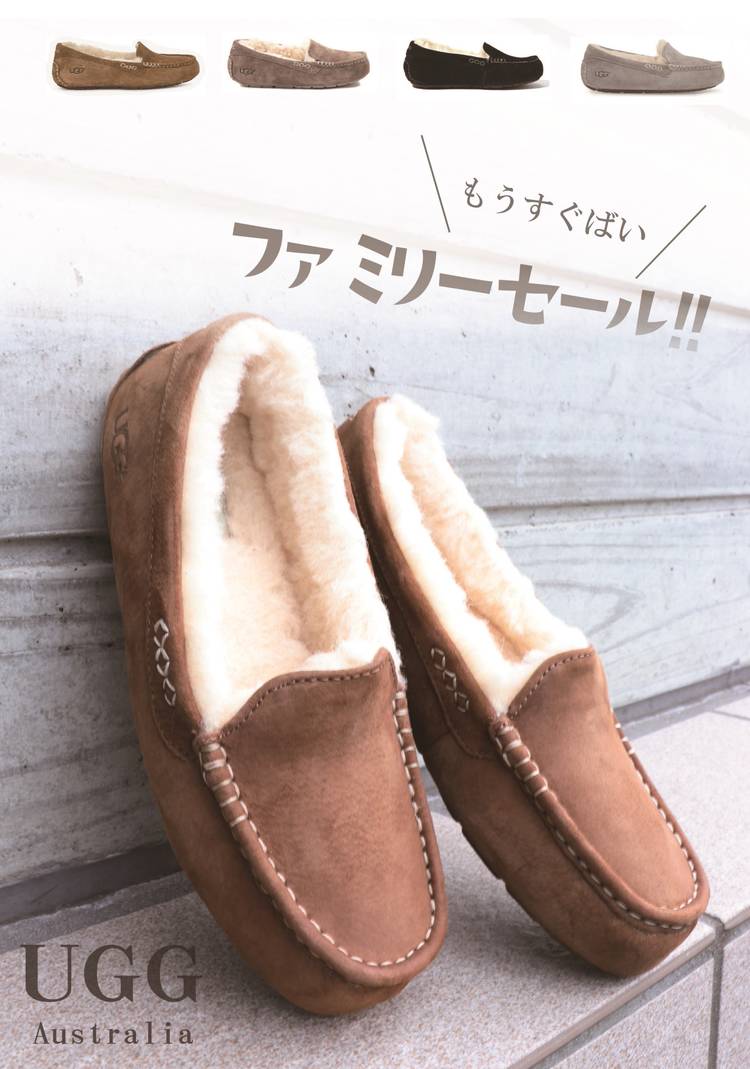 Mixed media feed | 南九州月星株式会社 | LINE Official Account