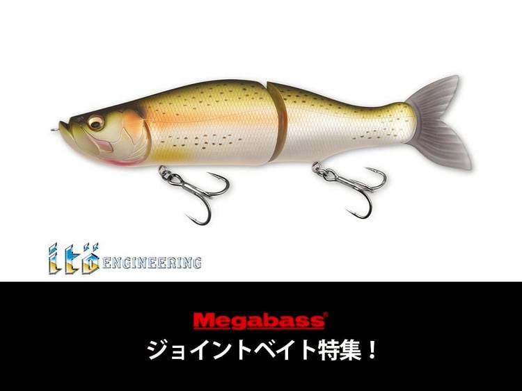 バスルアー21点セット❗️ Amazon.co.jp: バス釣り ハードルアー ルアー セット 全長4.5