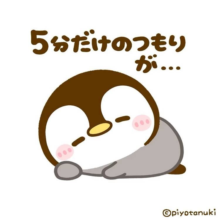 Mixed media feed | ぴよたぬき♡ | LINE Official Account