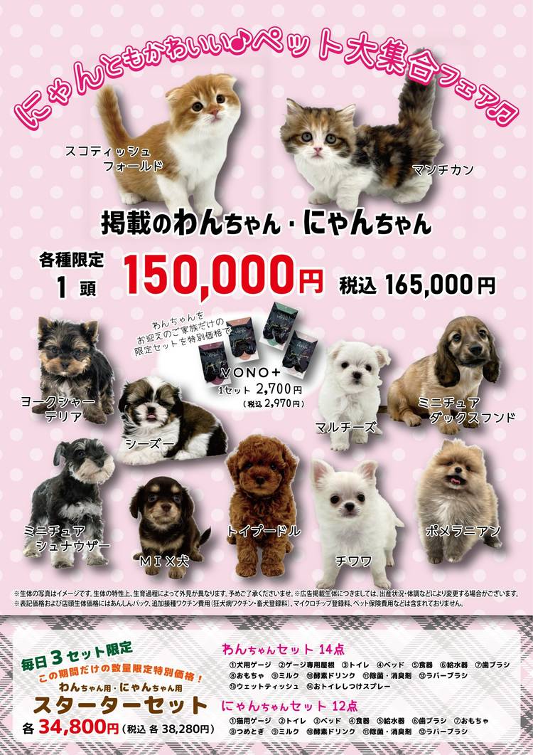 Mixed media feed | HIヒロセ スーパーHC別府店 | LINE Official Account