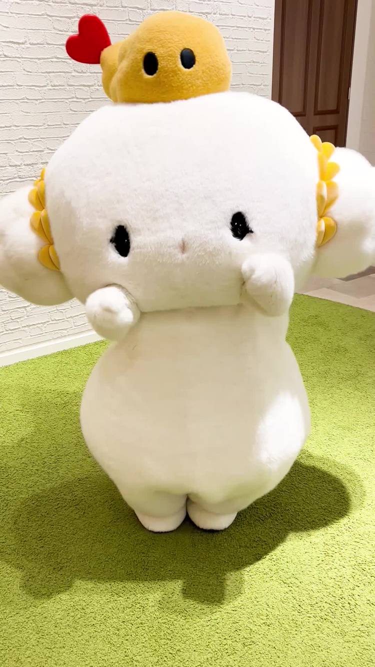 Mixed media feed | サンリオピューロランド | LINE Official Account