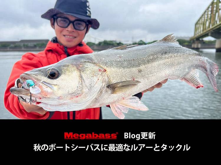 Mixed media feed | メガバスオンラインショップ | LINE Official Account