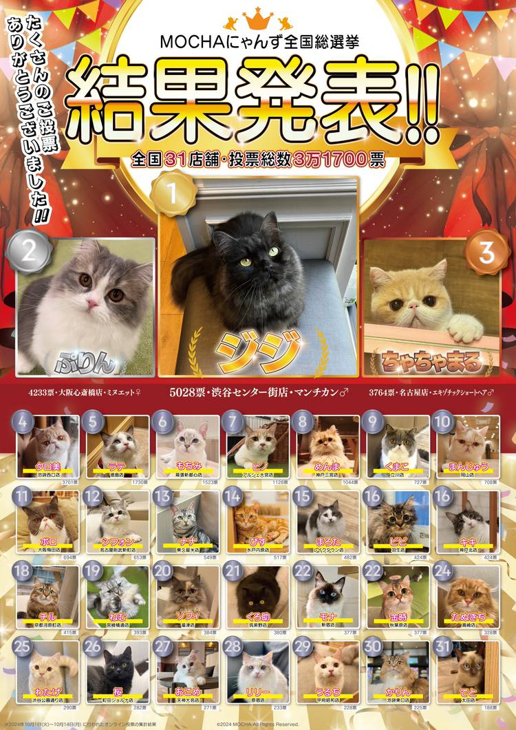 Mixed media feed | 猫カフェMOCHA 宮崎橘通店 | LINE Official Account