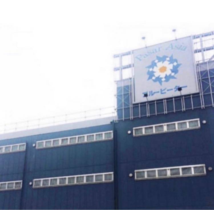 ❤️受注発注のご相談ページです❤️ PINOCCHIO｜株式会社アガツマ｜アンパンマンのおもちゃなど