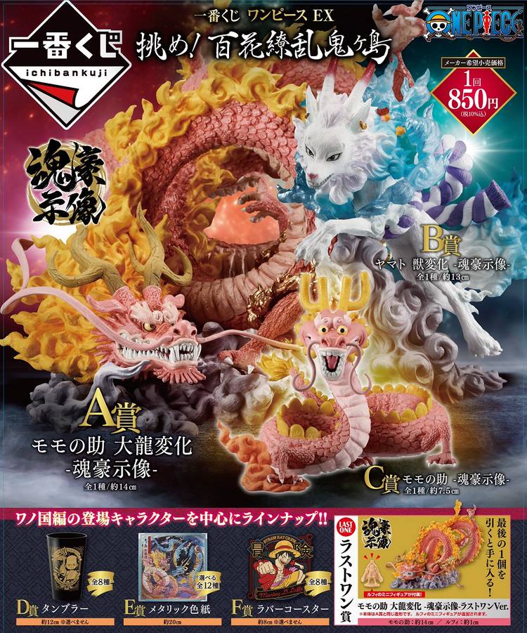Mixed media feed | MEGAドン・キホーテ金沢鞍月店 | LINE Official