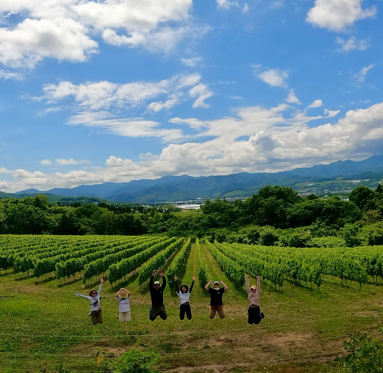余市町農園応援サポーターCHEERS! | LINE Official Account