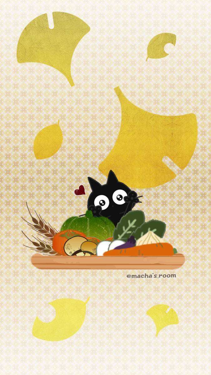 Mixed media feed | まちゃの部屋 | LINE Official Account Mixed media feed | まちゃの部屋 | LINE Official Account