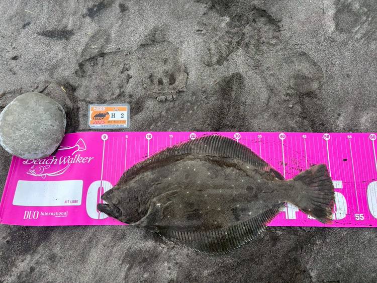 野原様ご確認ページ 2.0.18～】権限マスタ – ZACヘルプセンター