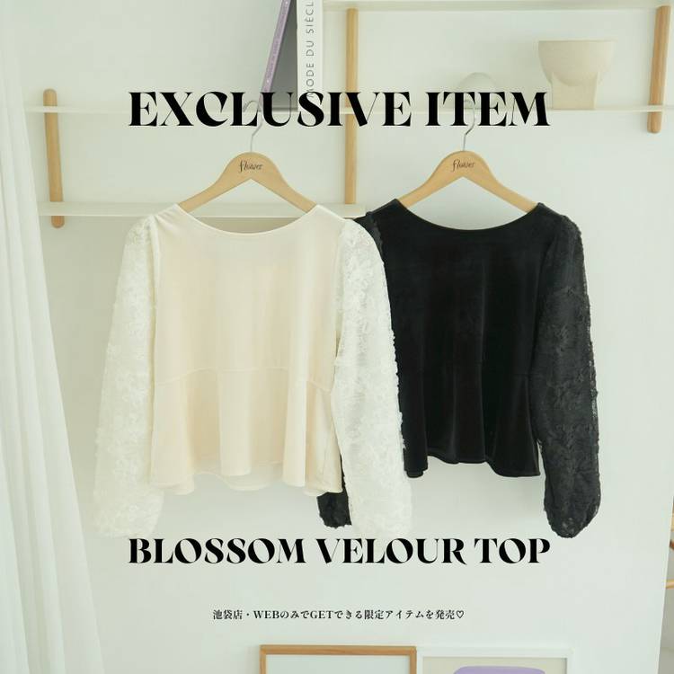 コメント下さい✦バラ苗✦予約のみ✦ꕥ。.ꕤ‿ꕤ.。 Mixed media feed | flower | LINE Official Account