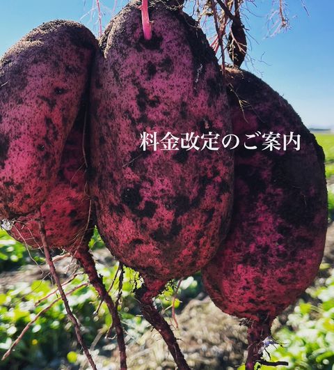 お芋のGakeya🍠 | LINE Official Account