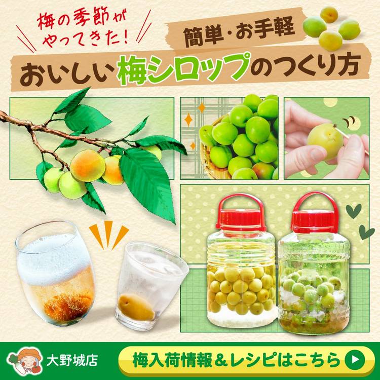 Mixed media feed | JA筑紫 ゆめ畑大野城店 | LINE Official Account