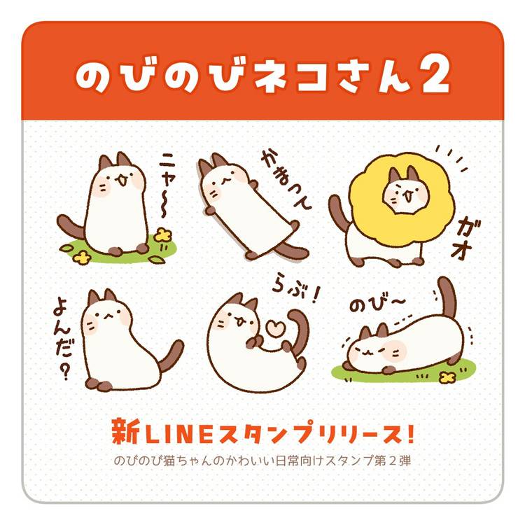 Mixed media feed | とっと | LINE Official Account